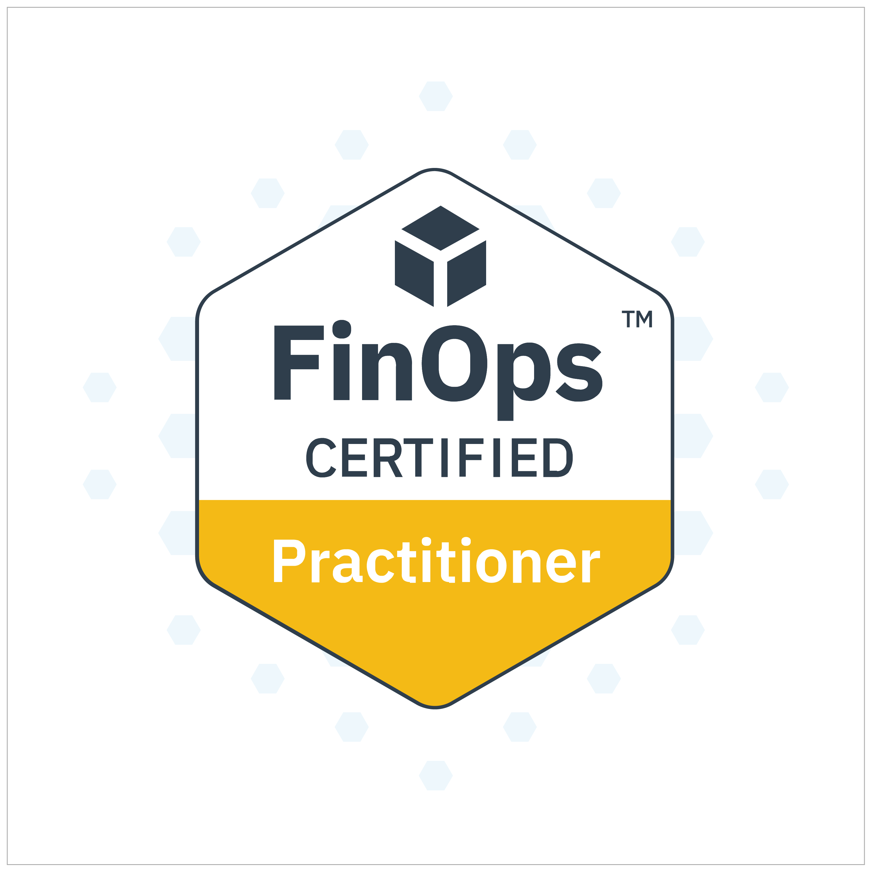 FinOps Certified Practitioner