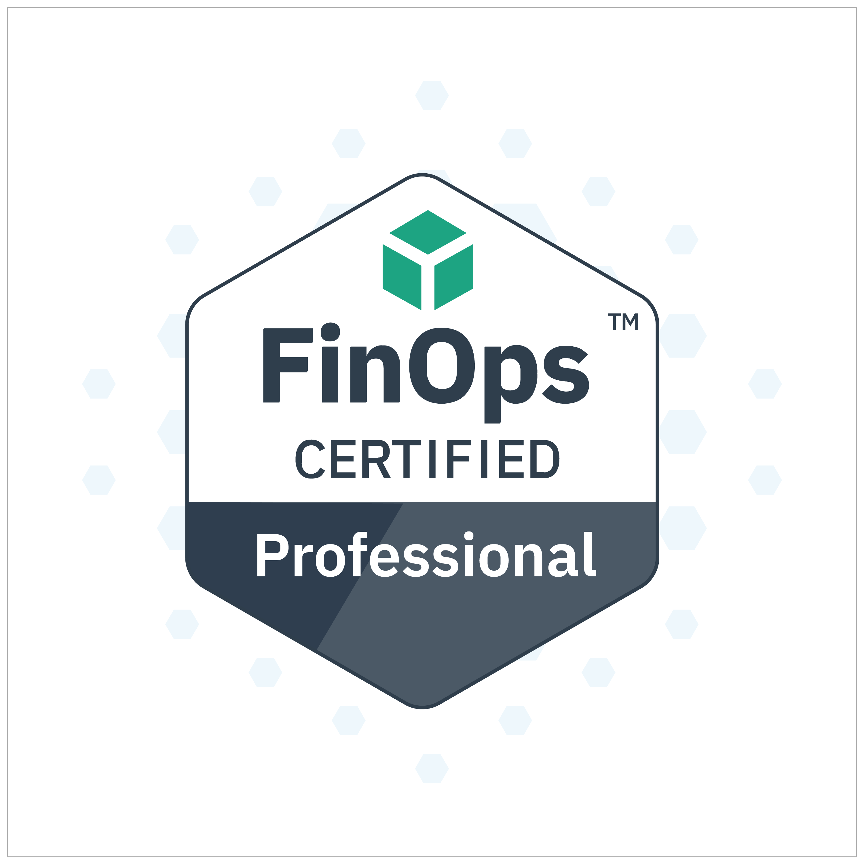 finops certified professional