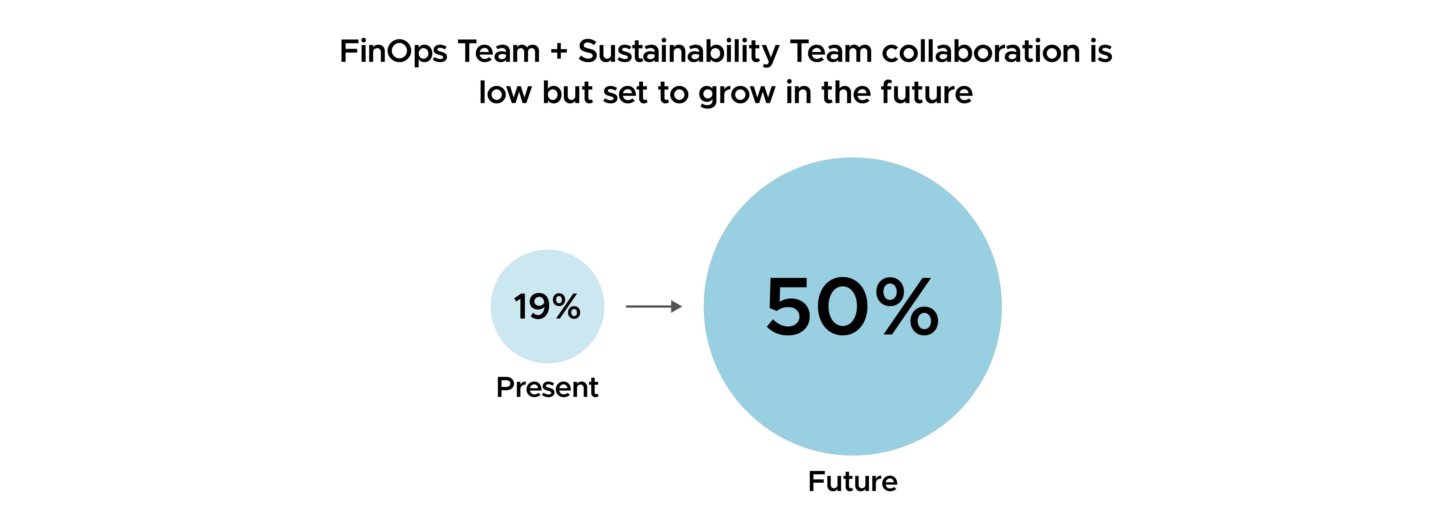 FinOps Team + Sustainability